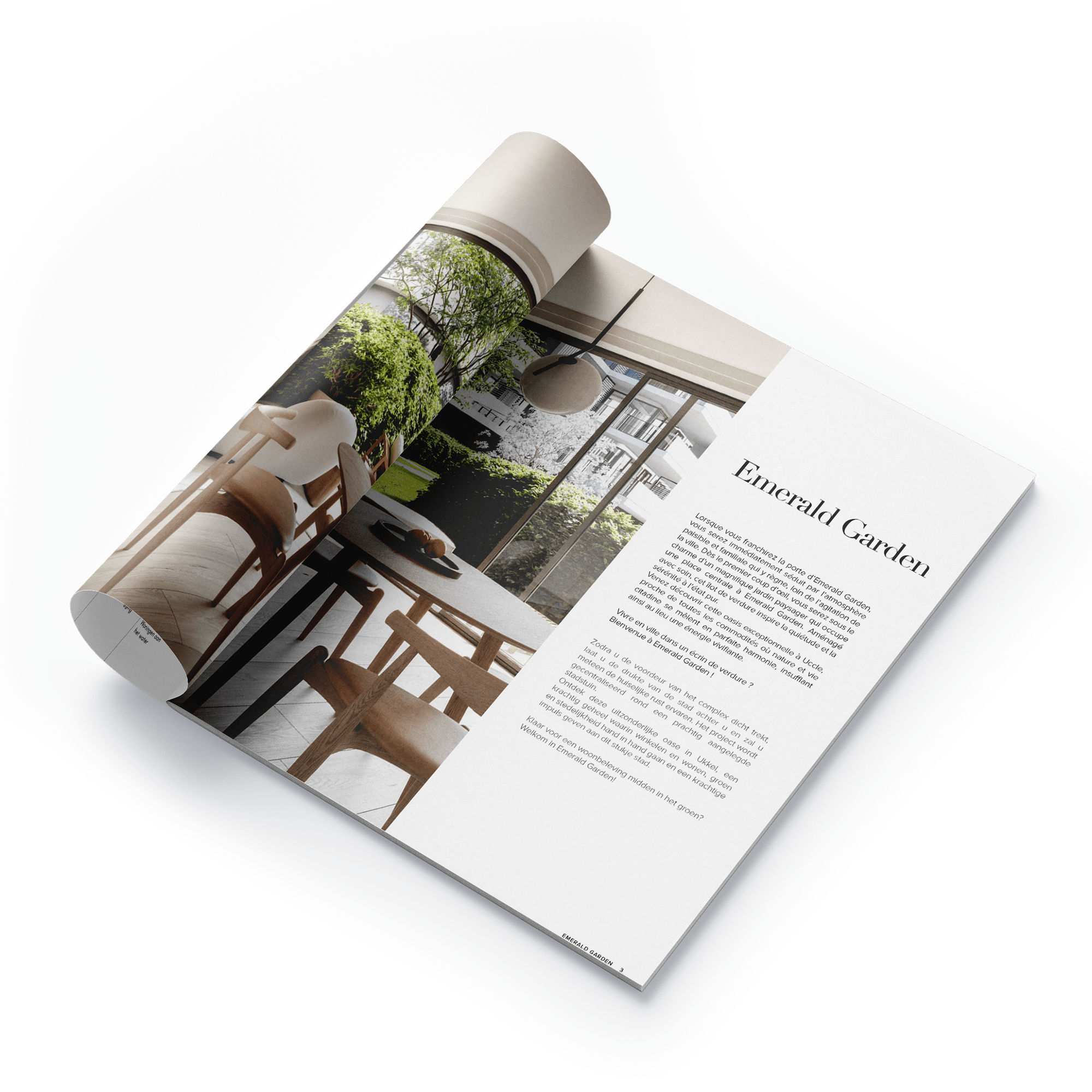 Téléchargez la brochure